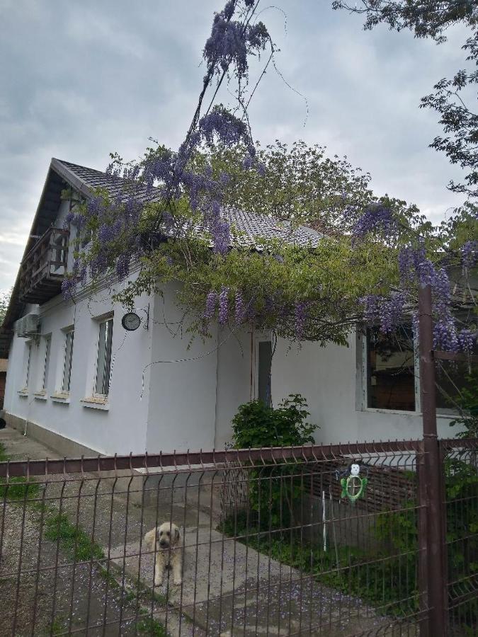 Casa Mocanu Giurgiu Dış mekan fotoğraf