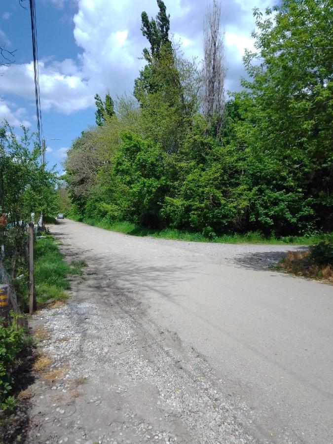 Casa Mocanu Giurgiu Dış mekan fotoğraf