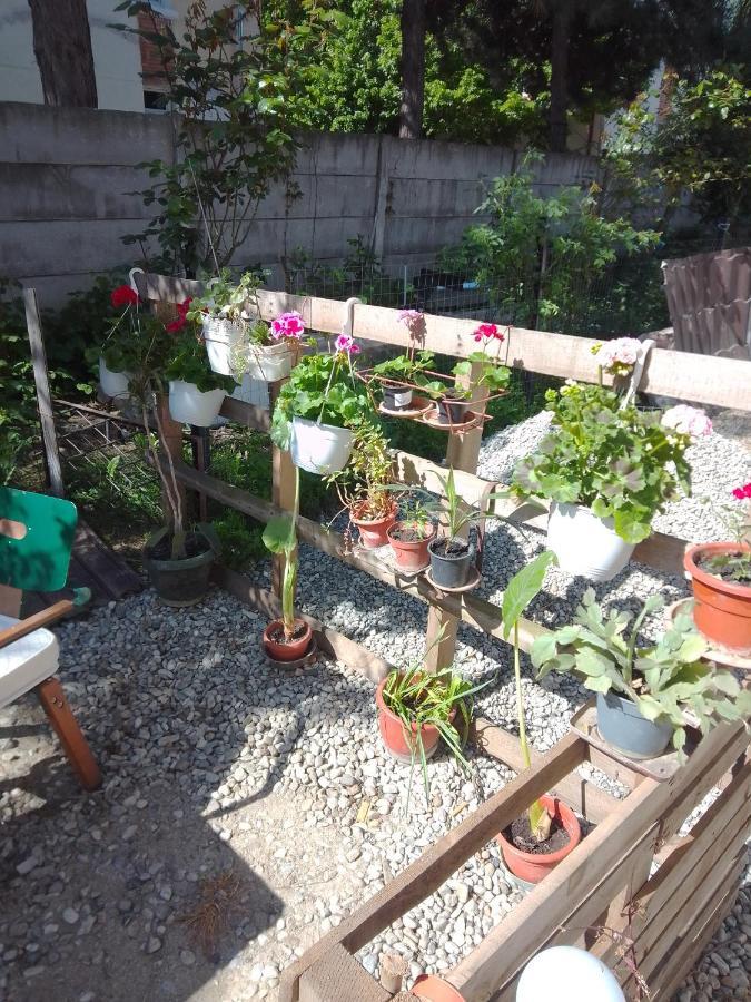Casa Mocanu Giurgiu Dış mekan fotoğraf