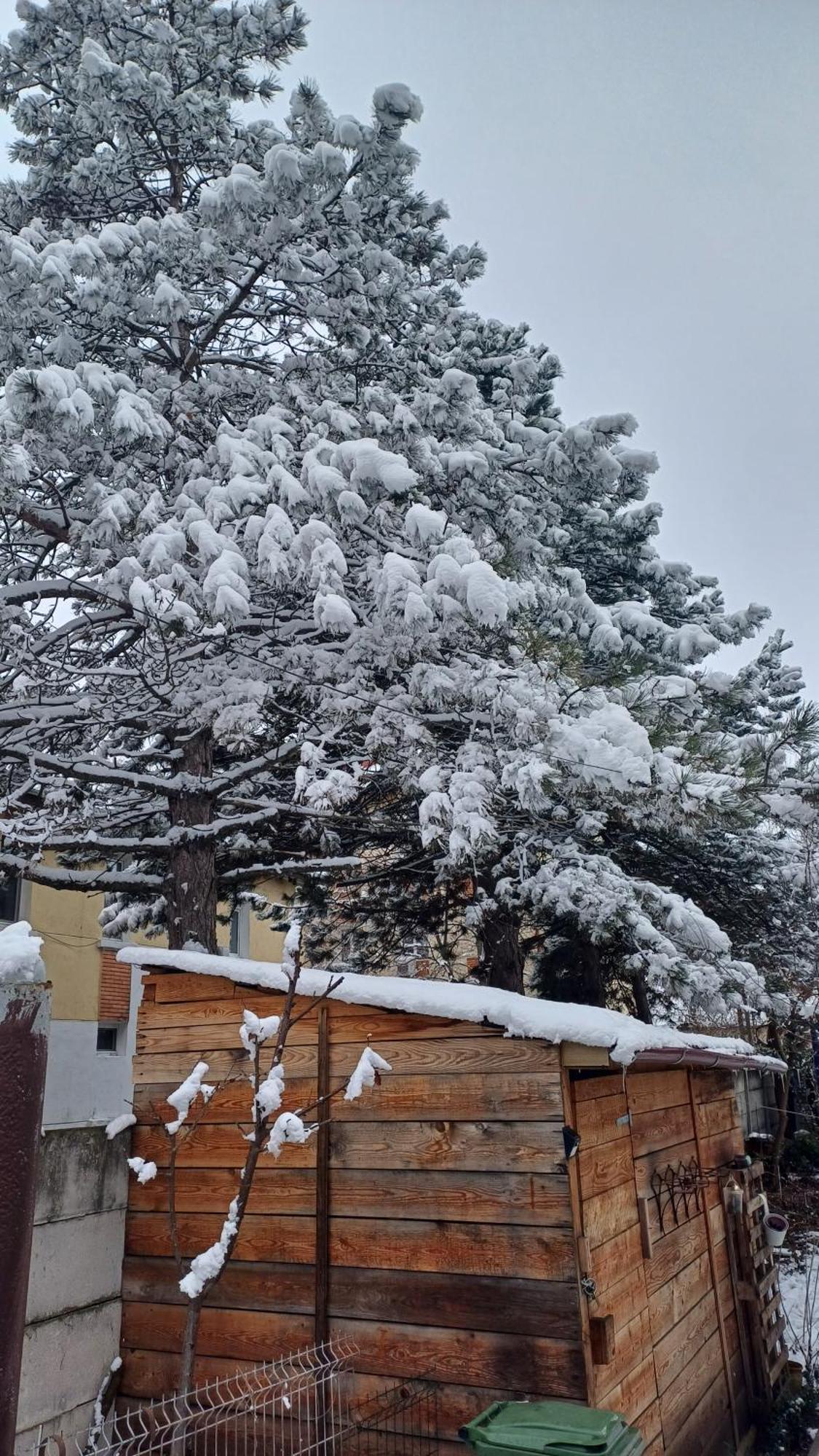 Casa Mocanu Giurgiu Dış mekan fotoğraf