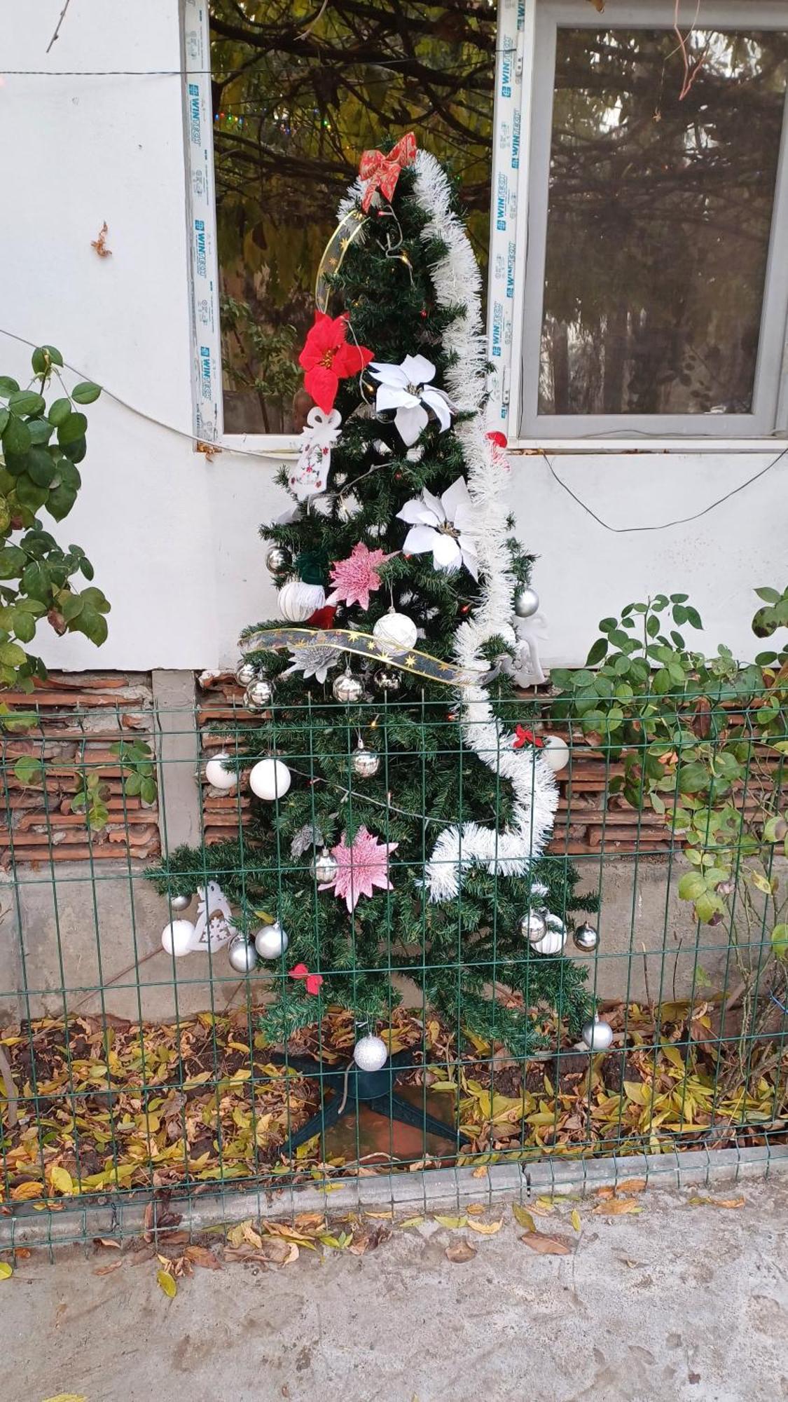 Casa Mocanu Giurgiu Dış mekan fotoğraf
