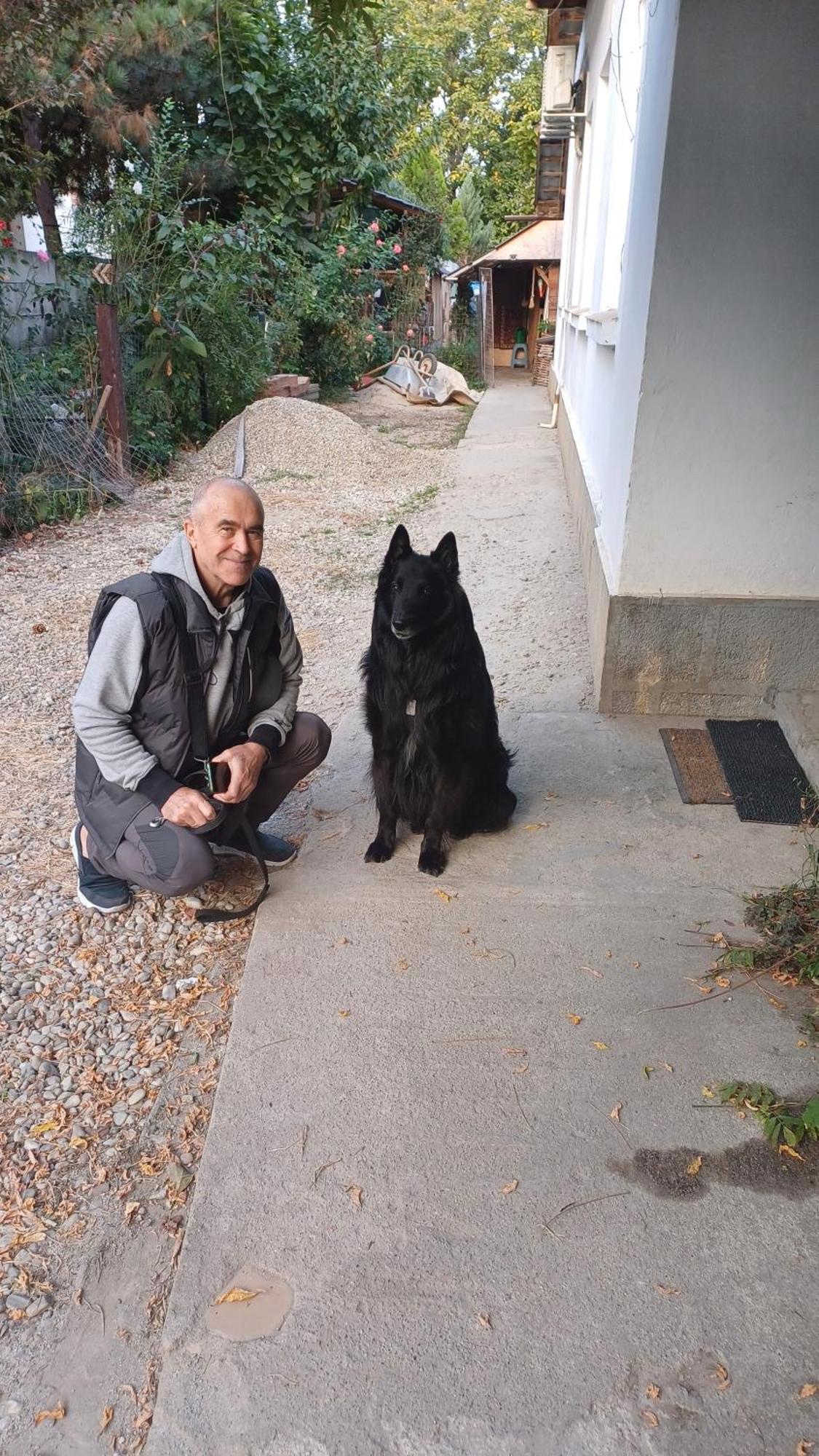 Casa Mocanu Giurgiu Dış mekan fotoğraf