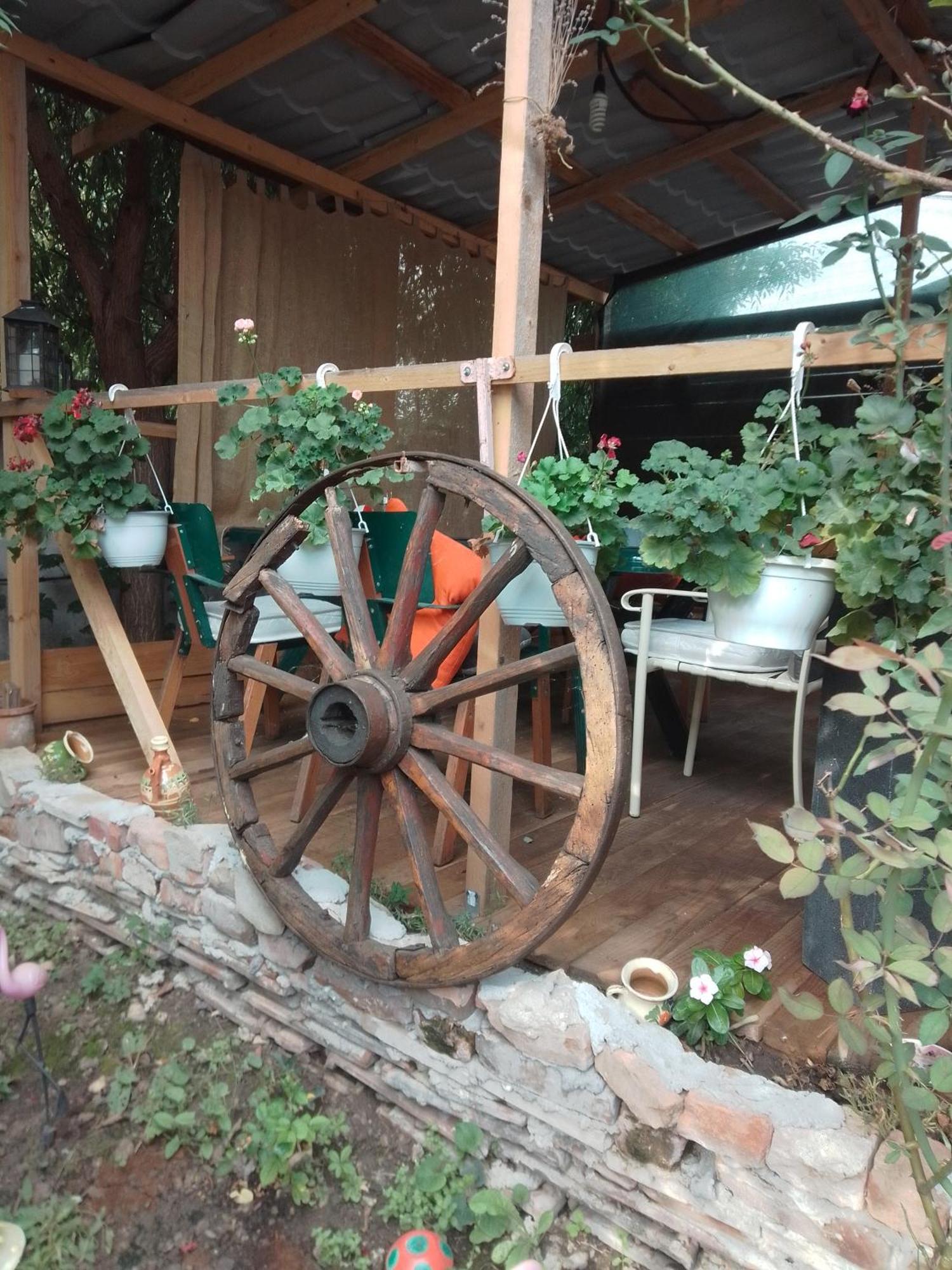 Casa Mocanu Giurgiu Dış mekan fotoğraf